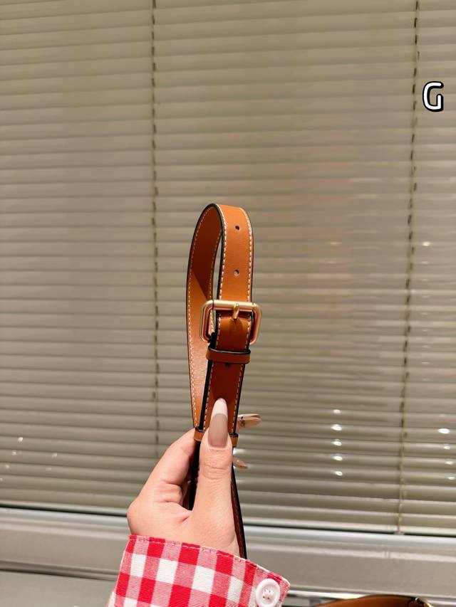 Cowhide version Coach gentle color series Mogan bag Coach November new product small bag natural color series better matching capacity is also good phone size 26.15cm with gift box: